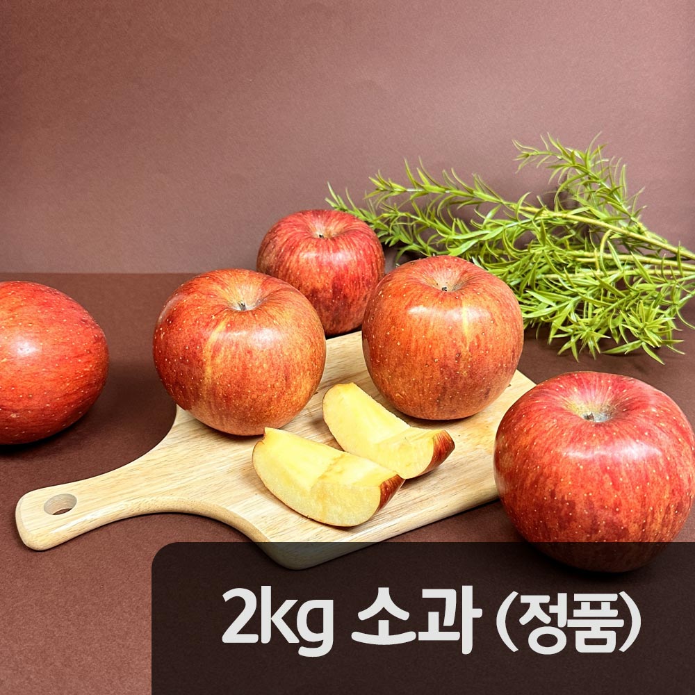 [햇땅] 경북사과 부사 정품 2kg 소과 (10-13과)