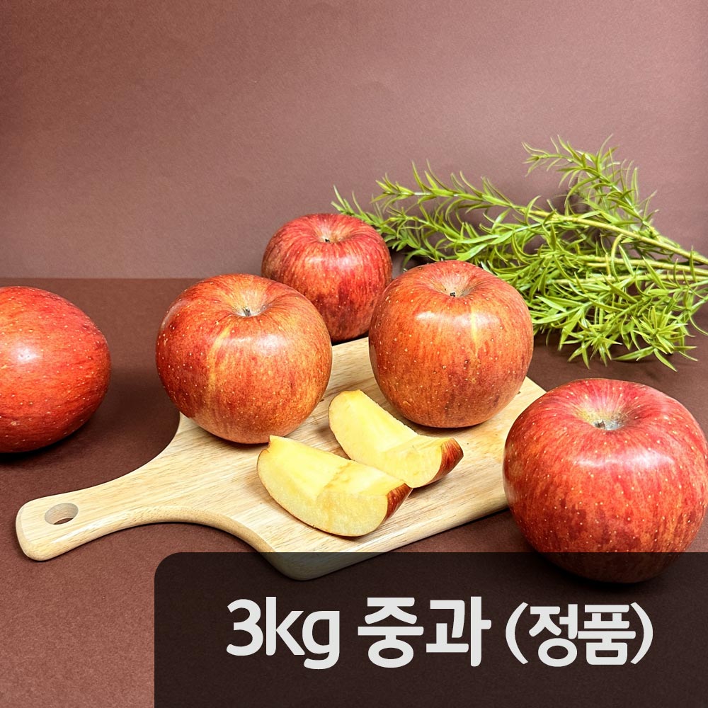 [햇땅] 경북사과 부사 정품 3kg 중과 (10-14과)