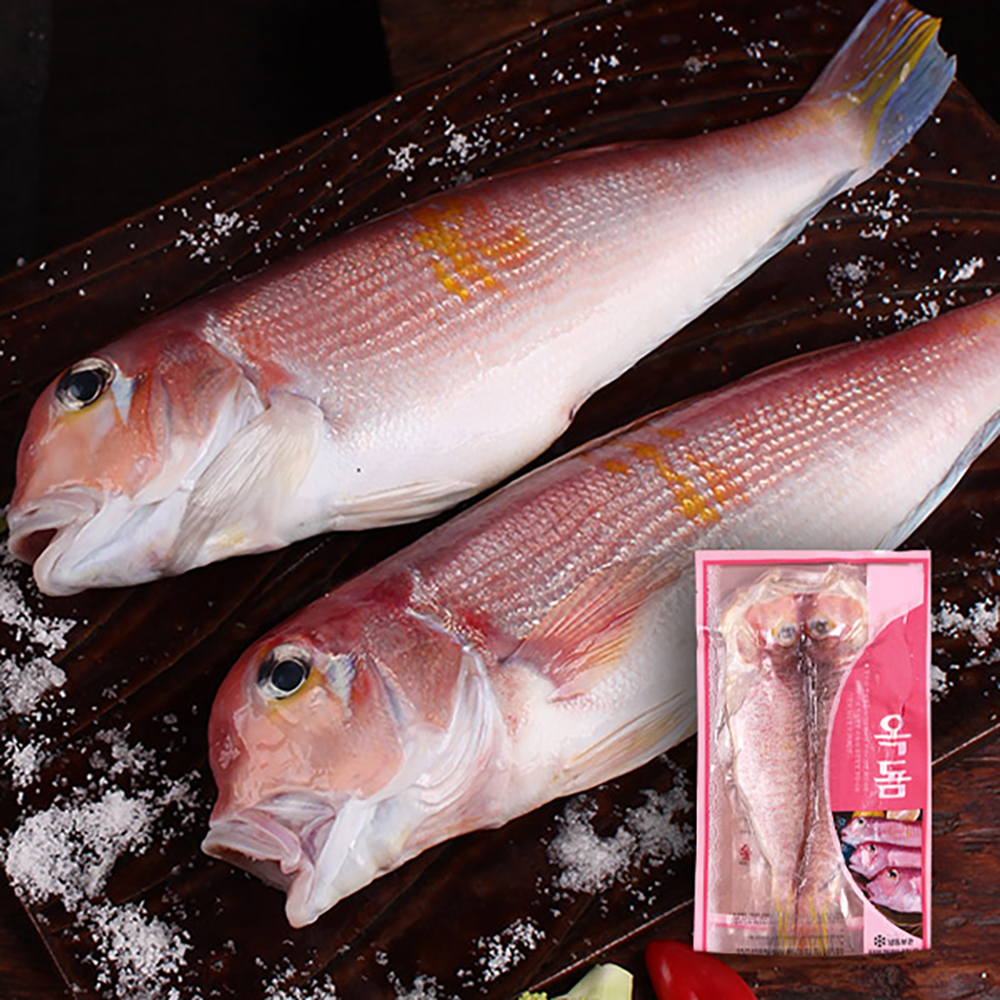 홍옥돔 (대 /450g/ 2마리)
