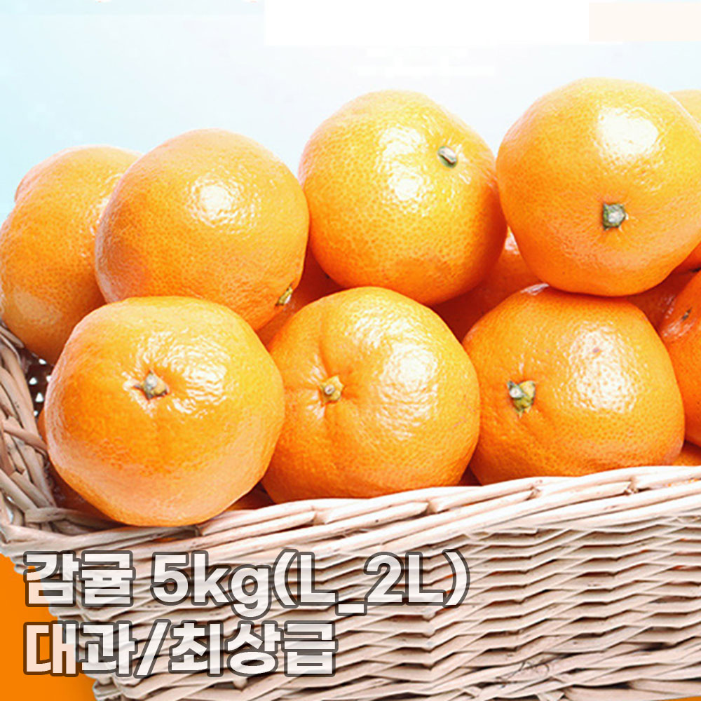 [더기다림] 감귤 5kg(L_2L)_대과/최상급