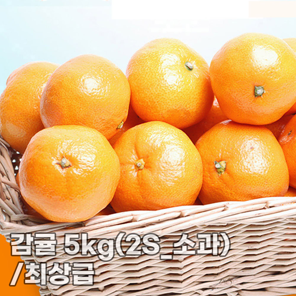 [더기다림] 감귤 5kg(2S_소과)/최상급