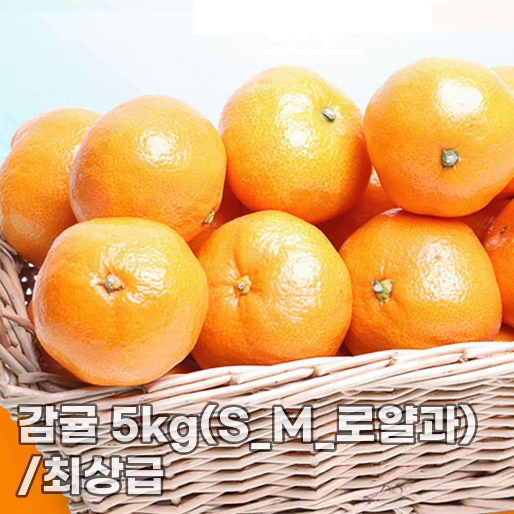 [더기다림] 감귤 5kg(S_M_로얄과)/최상급