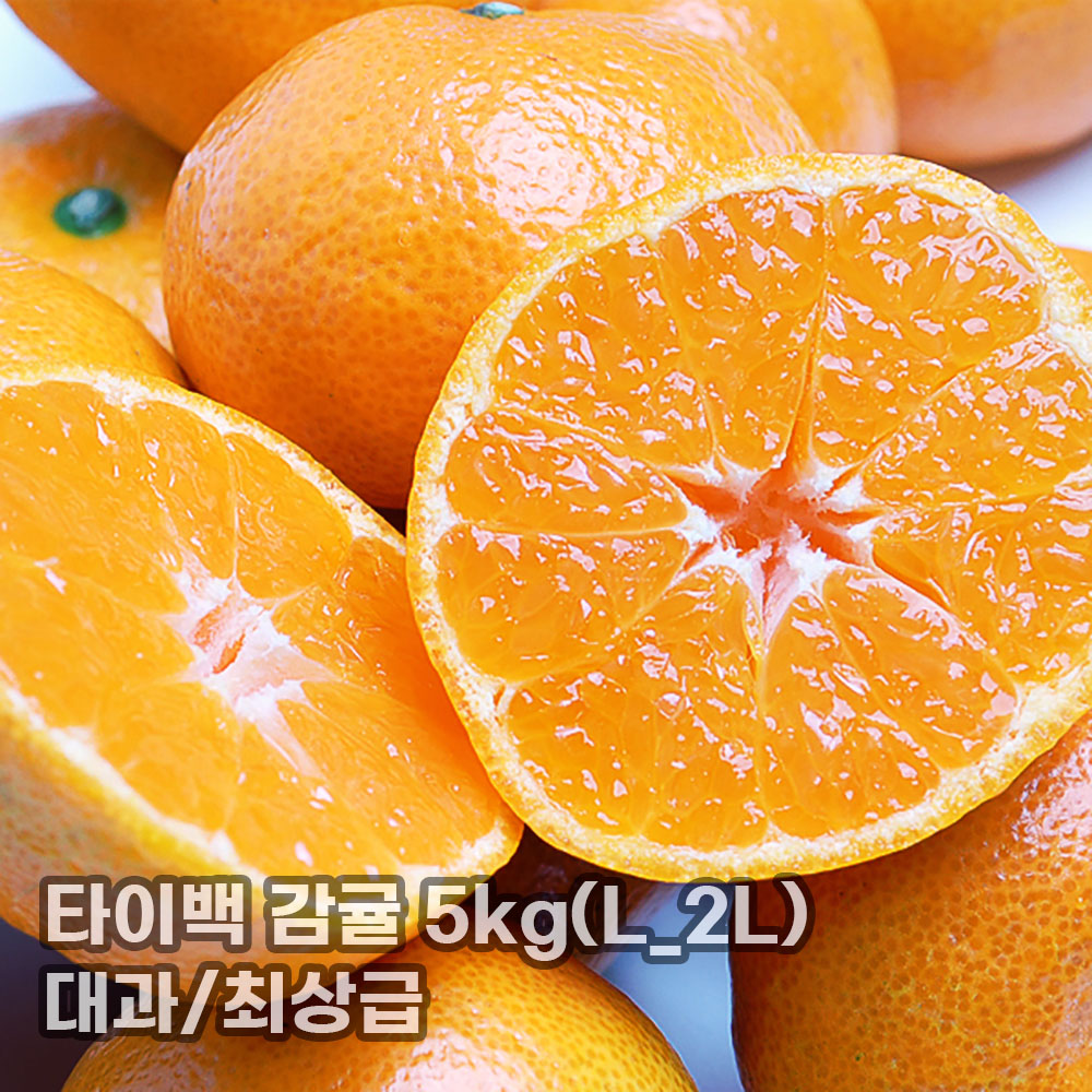 [더기다림] 타이백 감귤 5kg(L_2L)_대과/최상급