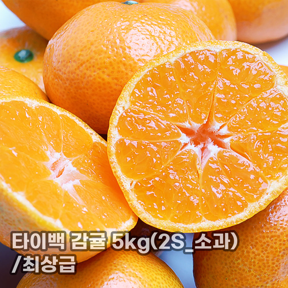 [더기다림] 타이백 감귤 5kg(2S_소과)/최상급