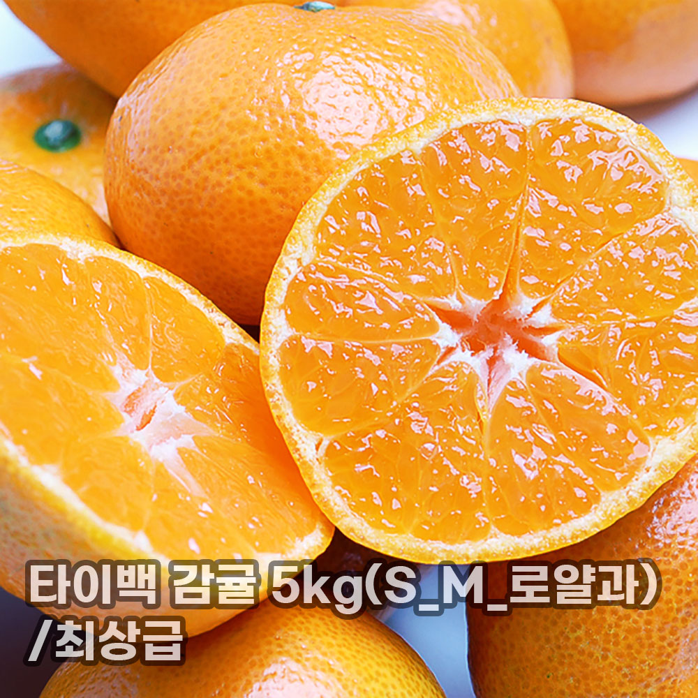 [더기다림] 타이백 감귤 5kg(S_M_로얄과)/최상급