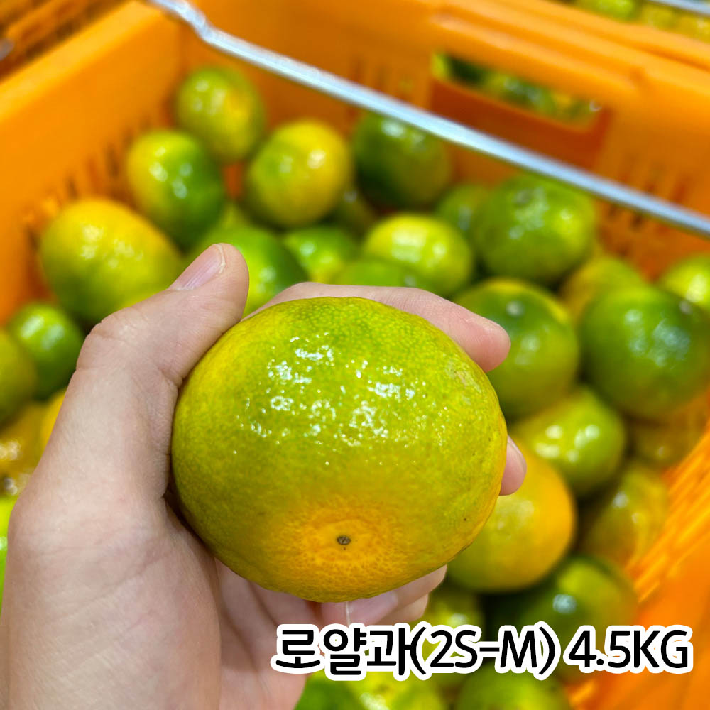 농장직송_제주 고당도 조생감귤 로얄과(2S-M) 4.5KG
