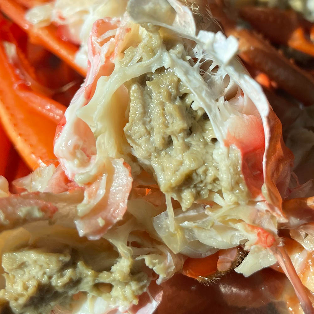 선주직접_후포 자숙 라면용 실속형 홍게 2kg (5~8미) 수율40~50%