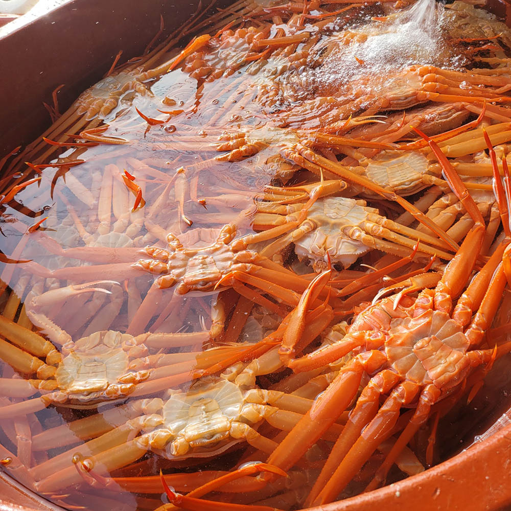 선주직접_후포 자숙 박달홍게 3kg 8미내외 (수율70%)