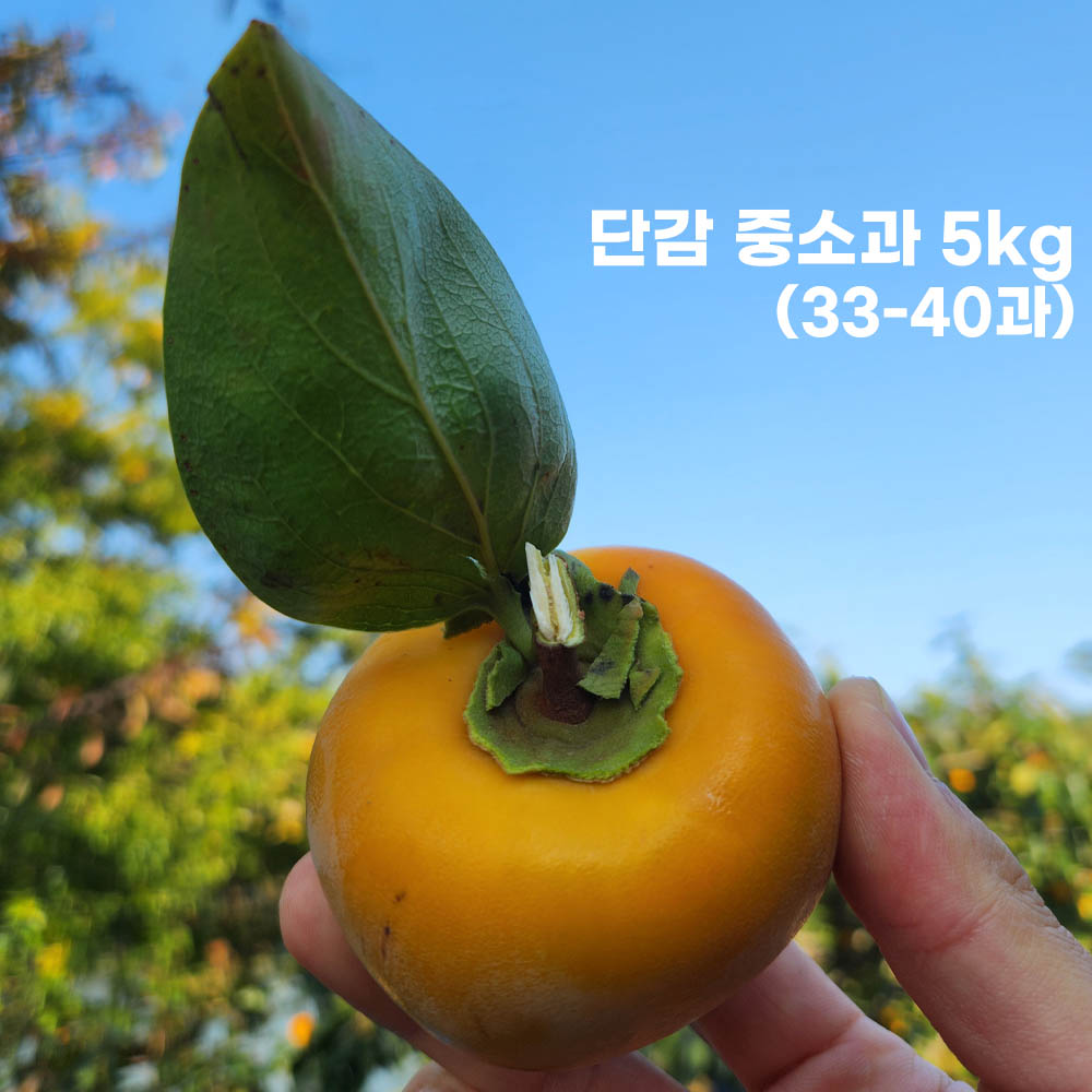 [형원농장] 달콤하고 아삭한 제철 부유단감 중소과 5kg (33-40과)