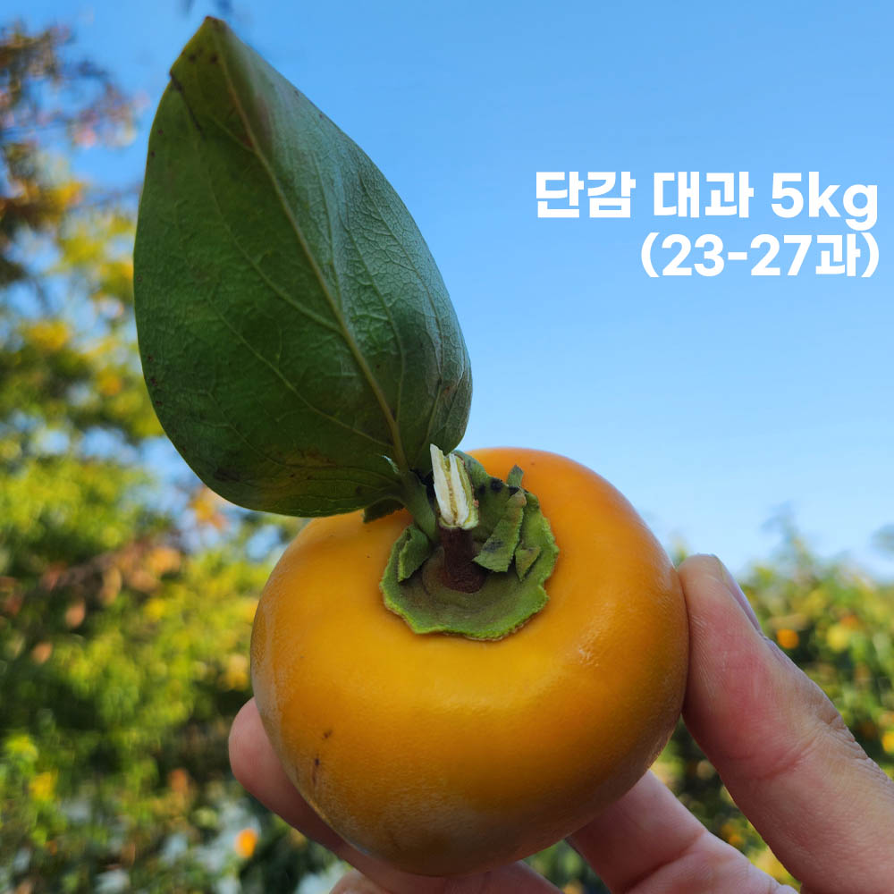[형원농장] 달콤하고 아삭한 제철 부유단감 대과 5kg (23-27과)