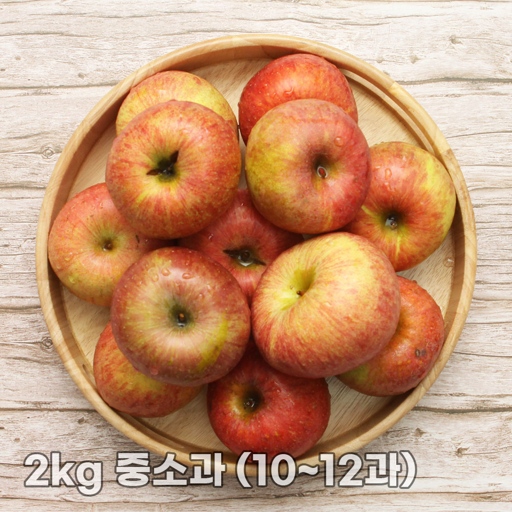 달옥농산 부사(가정용) 사과 2kg 중소과 (10~12과)