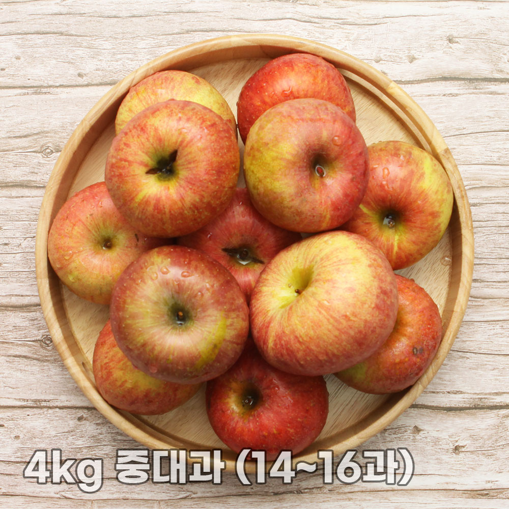 달옥농산 부사(가정용) 사과 4kg 중대과 (14~16과)