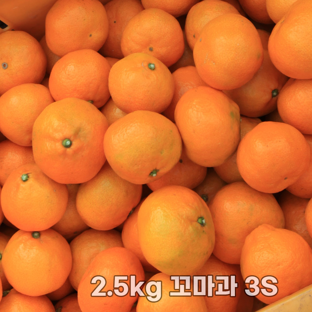 제주직송 조생감귤 실중량 2.5kg 꼬마과 3S