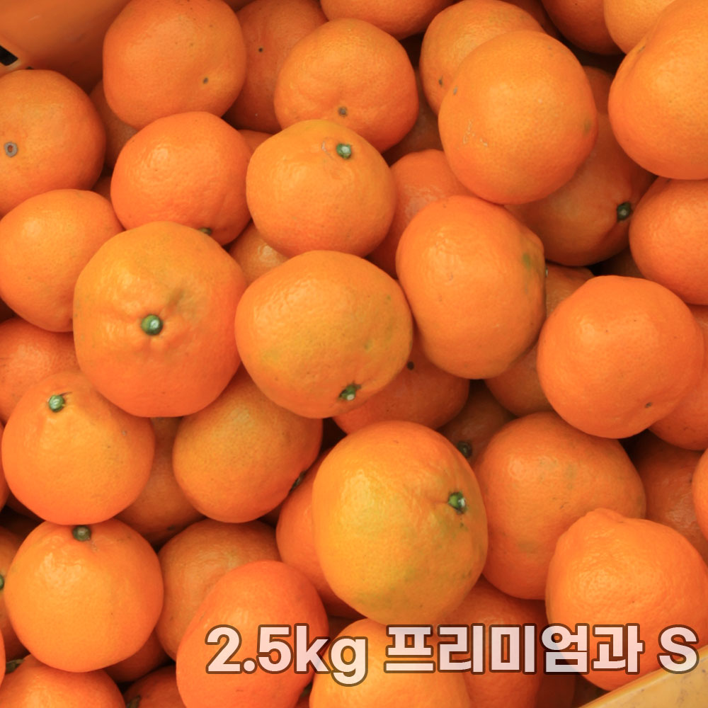 제주직송 조생감귤 실중량 2.5kg 프리미엄과 S