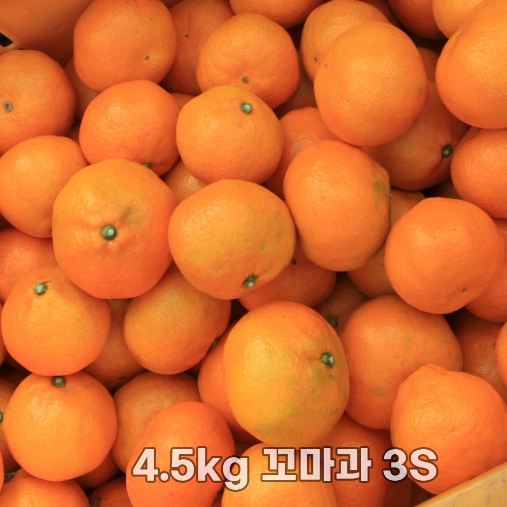 제주직송 조생감귤 실중량 4.5kg 꼬마과 3S