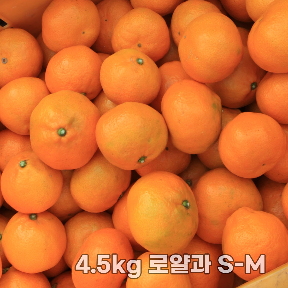 제주직송 조생감귤 실중량 4.5kg 로얄과 S-M