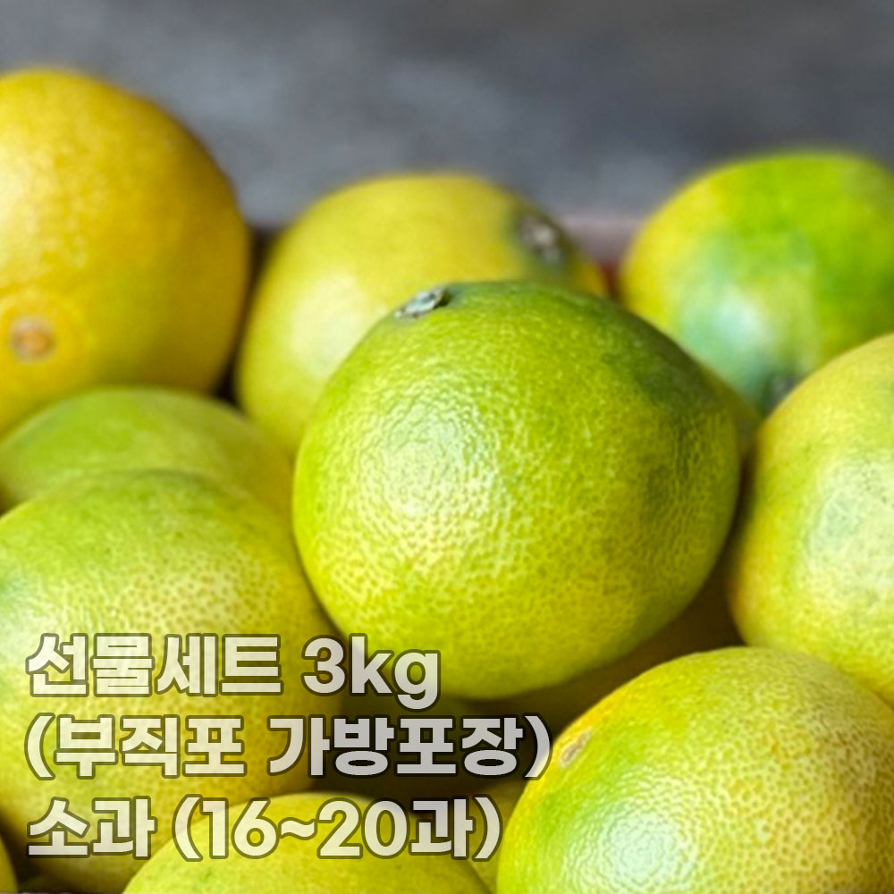 제주직송 황금향 선물세트 3kg (부직포 가방포장) 소과 (16~20과)