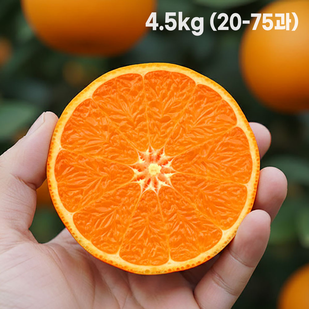 [형원농장] 제주에서 온 레드 오렌지 감귤 홍매향 4.5kg (20~75과)