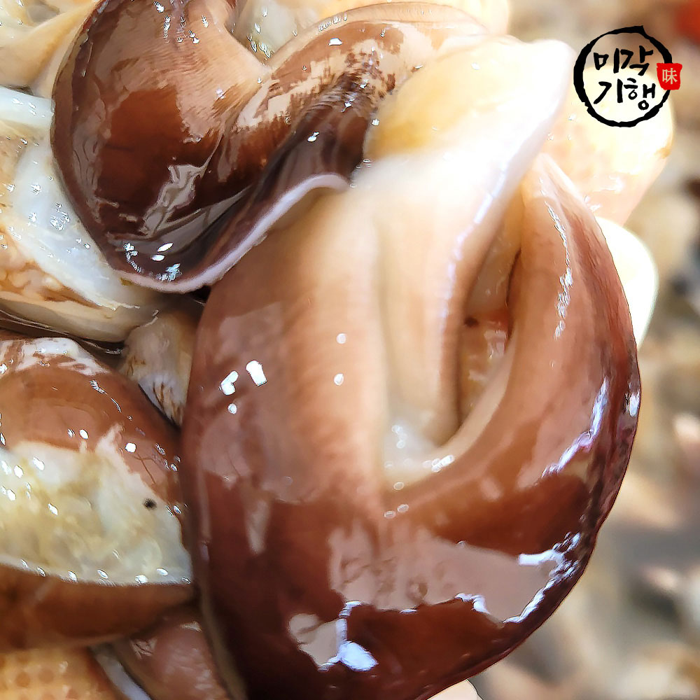 미각기행 청정 바다 여수에서 당일손질 한 검정새조개 400g