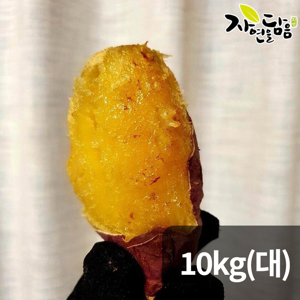 자연을담음 해남 꿀고구마 10kg 대/ 산지직송