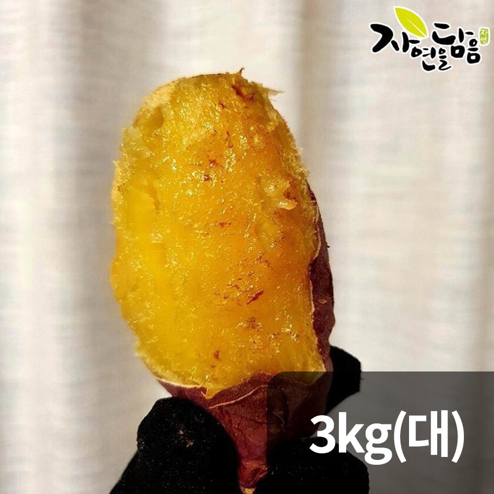 자연을담음 해남 꿀고구마 3kg 대/ 산지직송