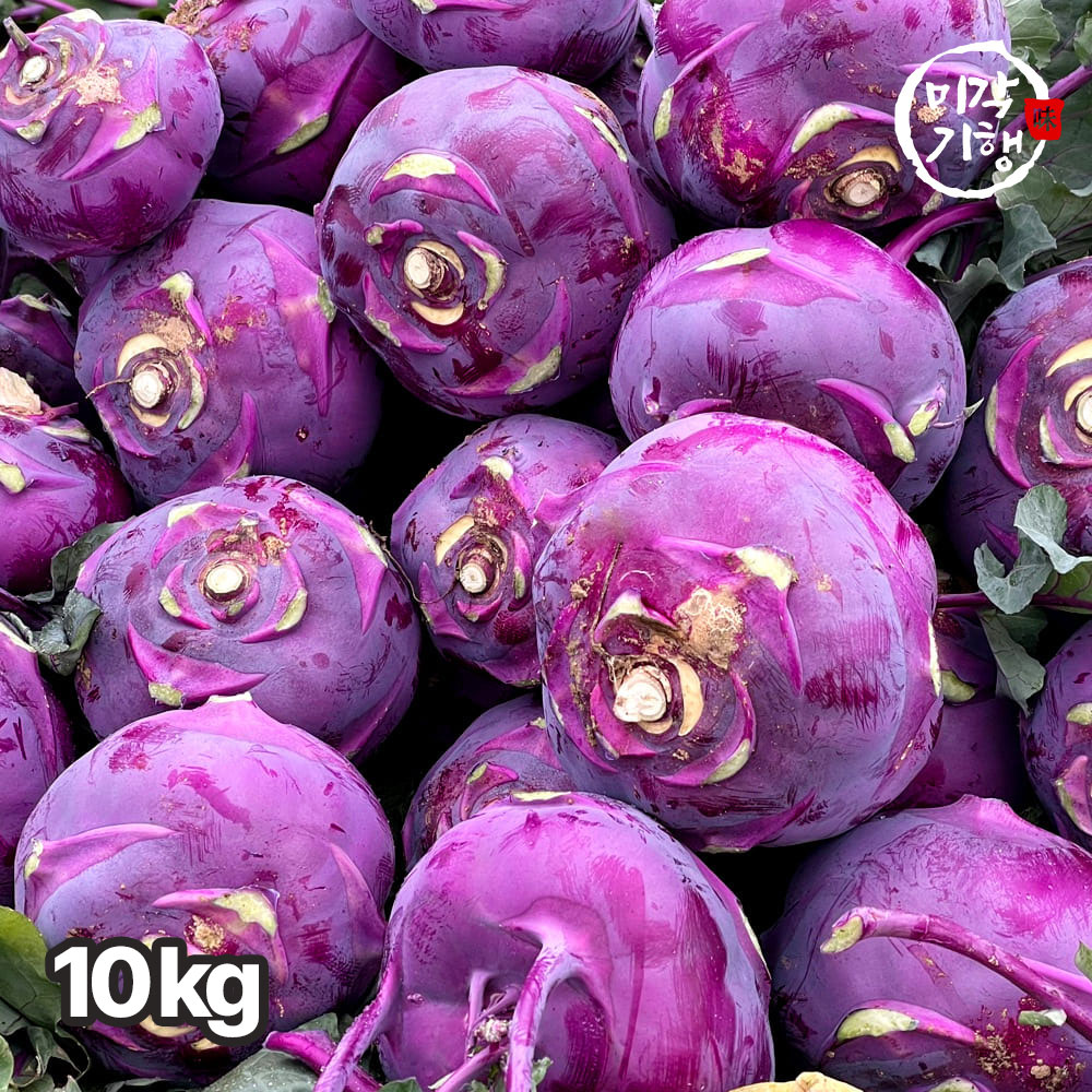 미각기행 제주도에서 자란 프리미엄 콜라비 정품 로얄과 10kg(550-600g 내외)