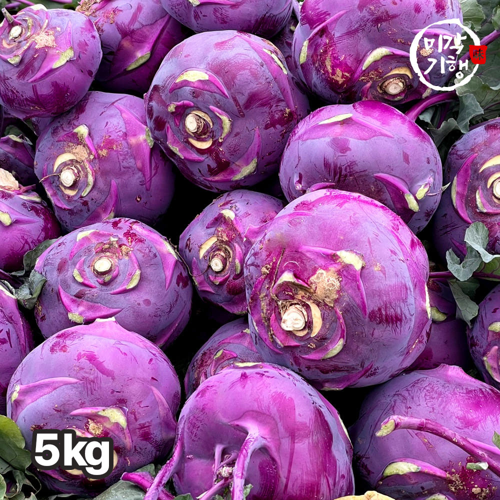 [미각기행] 제주도에서 자란 프리미엄 콜라비 정품 로얄과 5kg(550-600g 내외)