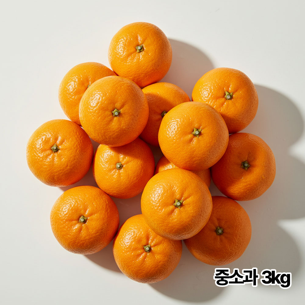 제주직송 하우스 고당도 명품 레드향 3kg 중소과