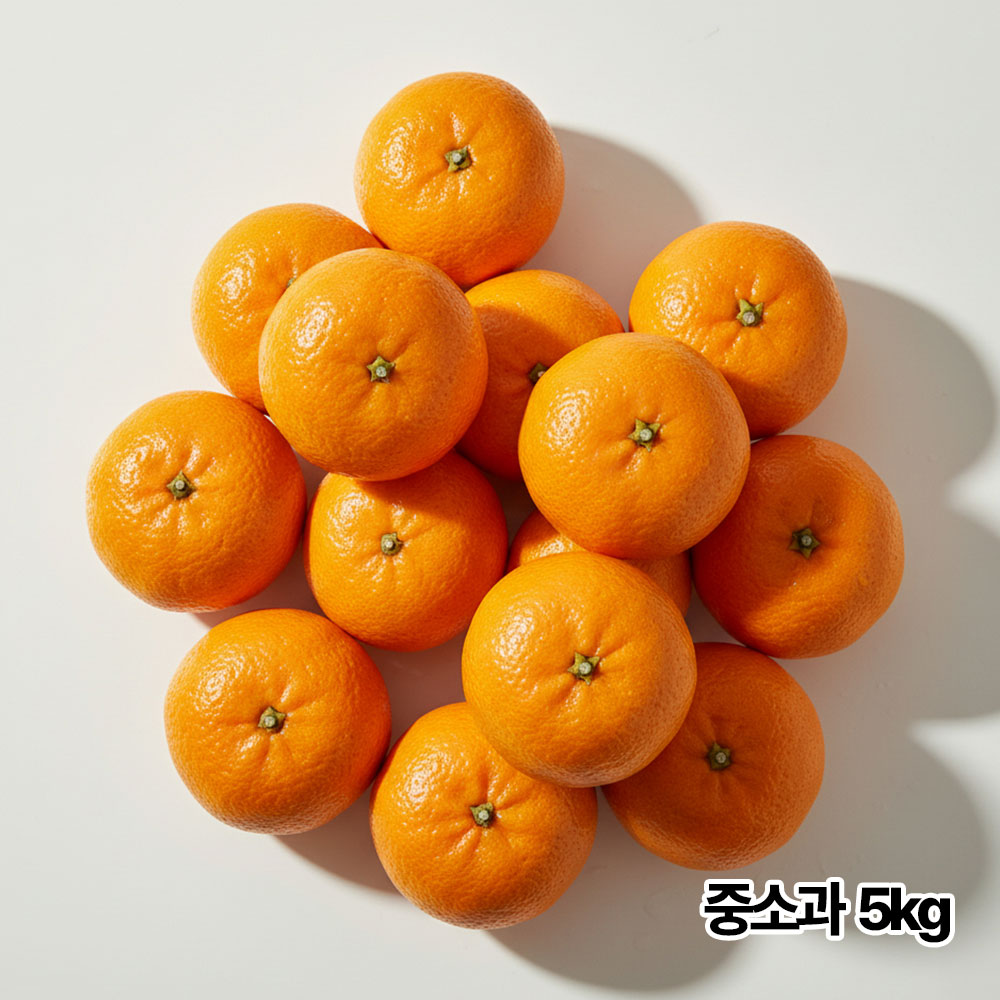 제주직송 하우스 고당도 명품 레드향 5kg 중소과