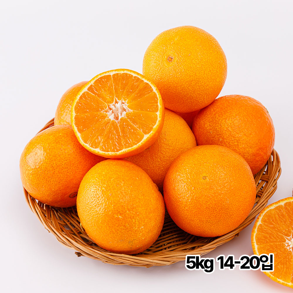 제주직송 하우스 고당도 명품 레드향 선물세트 5kg 14-20입