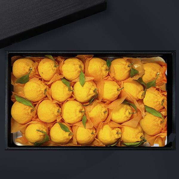 [브라이트데이] 제주 한라봉 4.5kg 선물세트(12-23과) 26s_gn_02