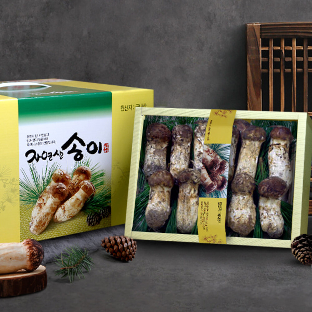 [송림山속] 강원도 자연산 송이버섯 500g/상품/12~18뿌리(냉동)