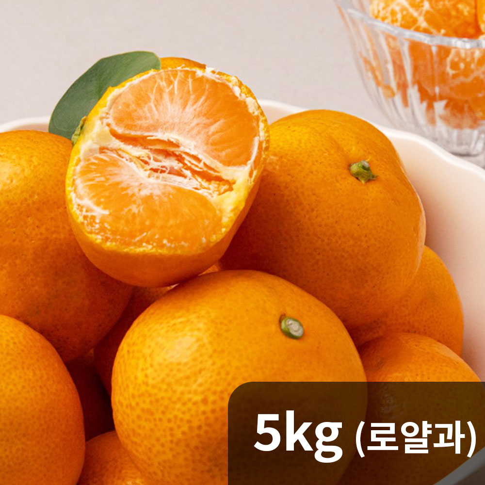[청년농가] 고당도 프리미엄 타이벡 감귤 5kg 로얄과