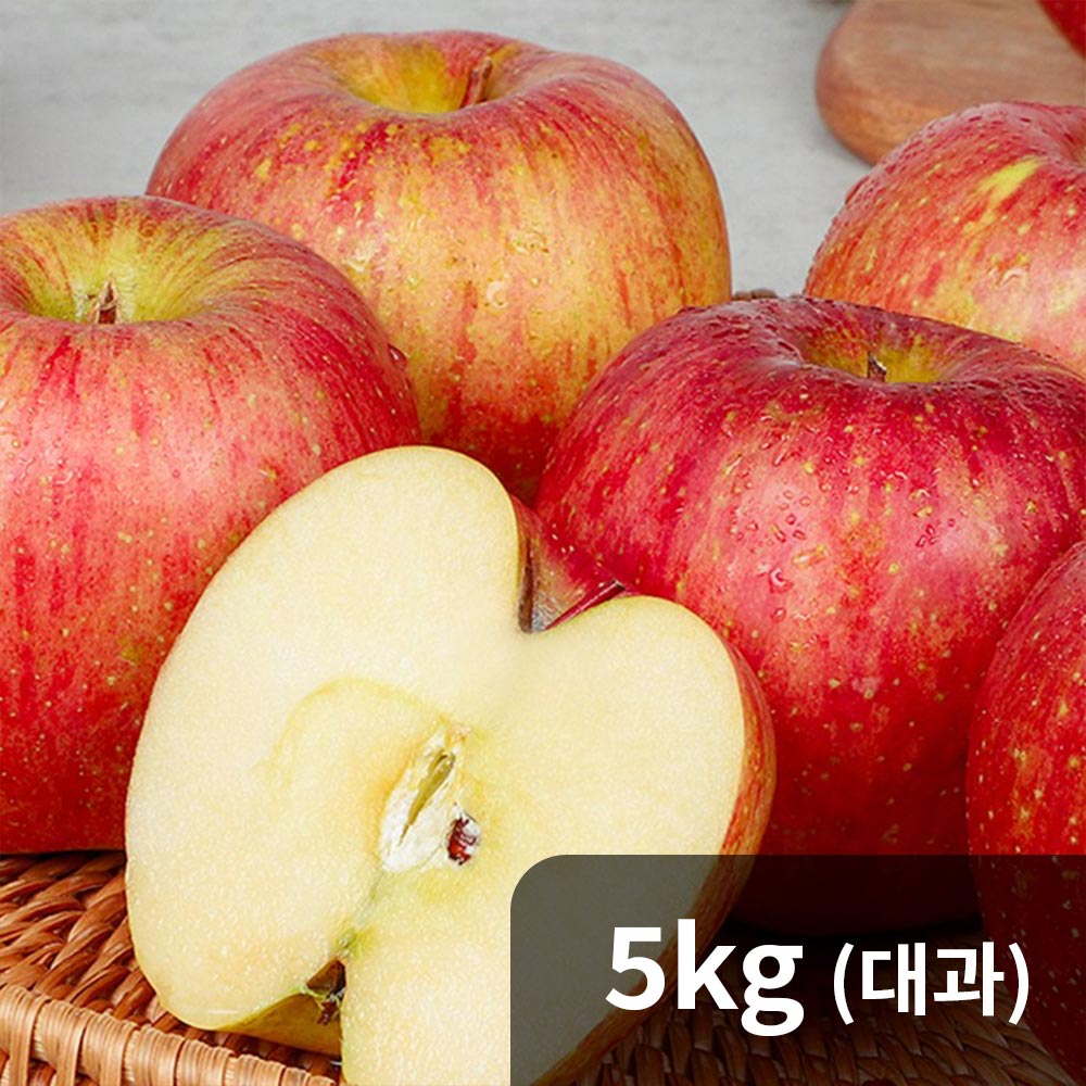[청년농가] 경북 고당도 가정용 A급 부사 사과 5kg 대과(17과내)