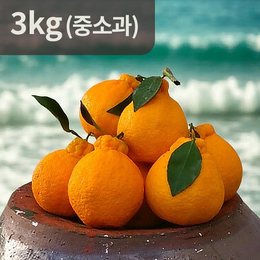 [제주직송] 당도보장 햇빛을 삼킨 써니트 한라봉 3kg 중소과