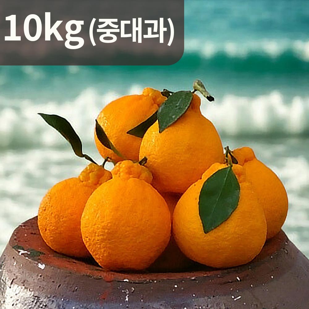 [제주직송] 당도보장 햇빛을 삼킨 써니트 한라봉 10kg 중대과