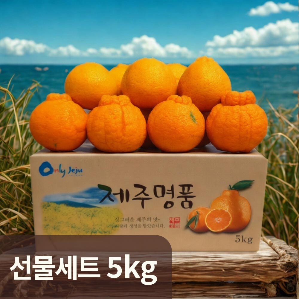 [제주직송] 당도보장 햇빛을 삼킨 써니트 한라봉 선물세트 5kg 14-20입 (+선물가방)
