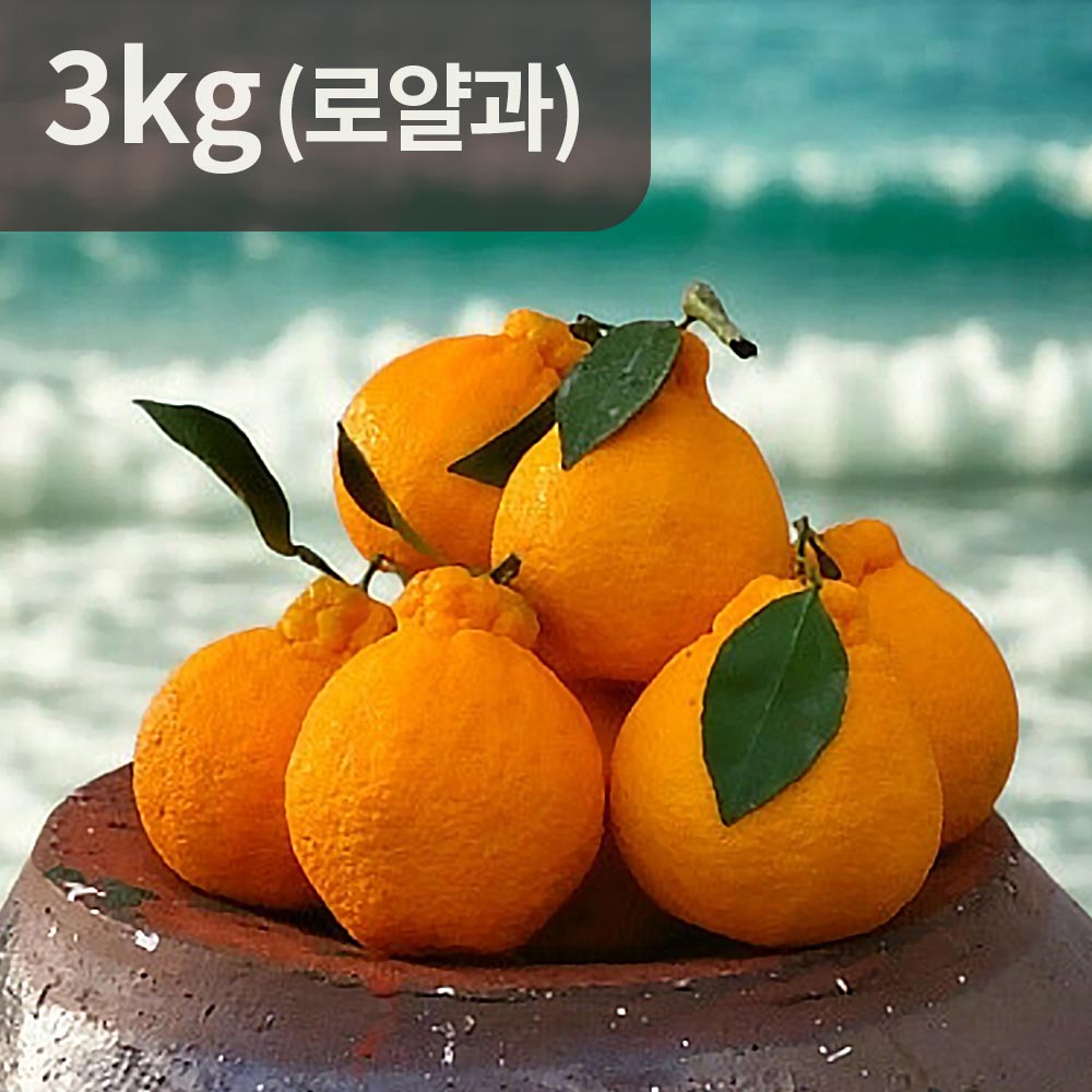 [제주직송] 당도보장 햇빛을 삼킨 써니트 한라봉 3kg 로얄과