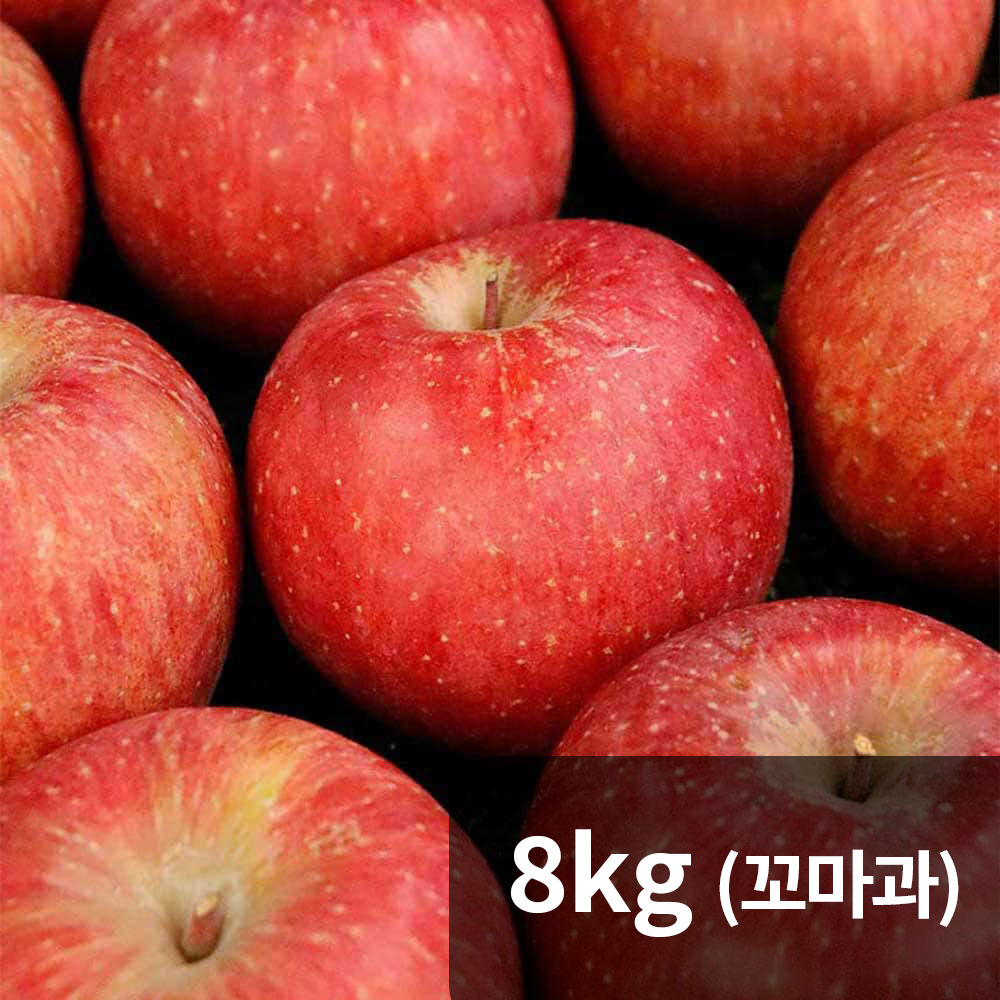 옥황 가정용 얼음골사과 8kg 꼬마과 (46-49과)