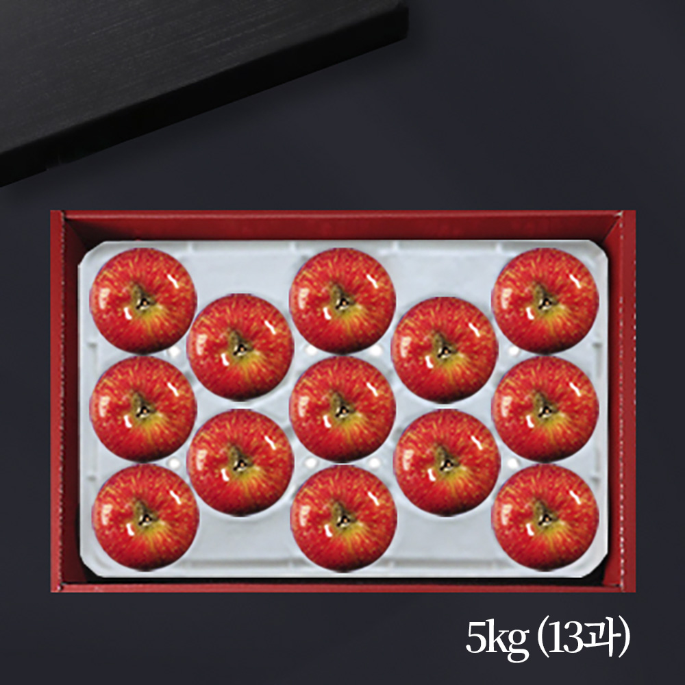[브라이트데이] 남영양농협 사과 5kg 선물세트(13과) 26s_ny_08