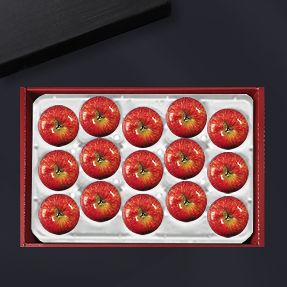 [브라이트데이] 남영양농협 사과 5kg 선물세트(15과) 26s_ny_07