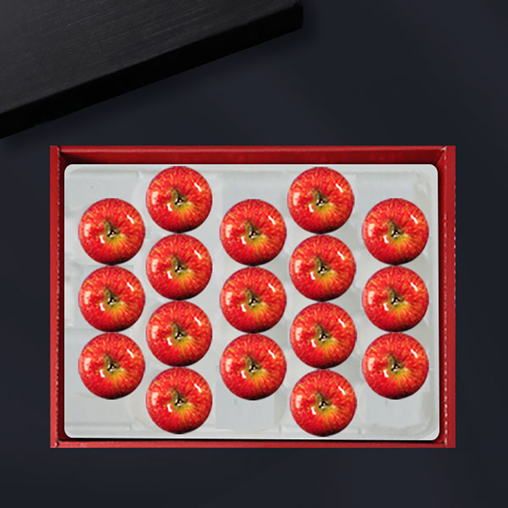 [브라이트데이] 남영양농협 사과 5kg 선물세트(17과) 26s_ny_06