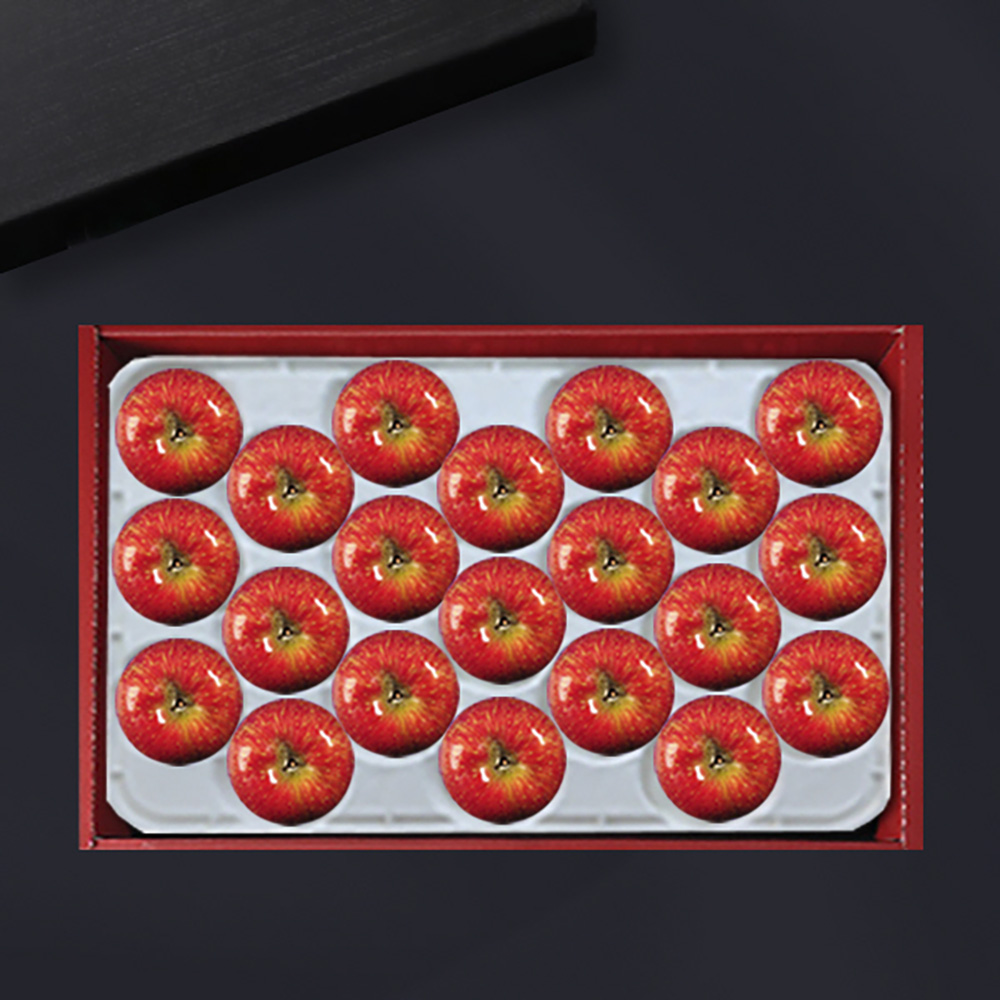 [브라이트데이] 남영양농협 사과 5kg 선물세트(21과) 26s_ny_05