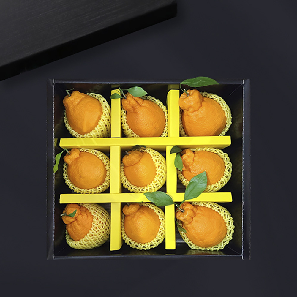 [브라이트데이] 노블레스 국내산 한라봉 2.5kg 사각 선물세트(9과) 26s_wn_01