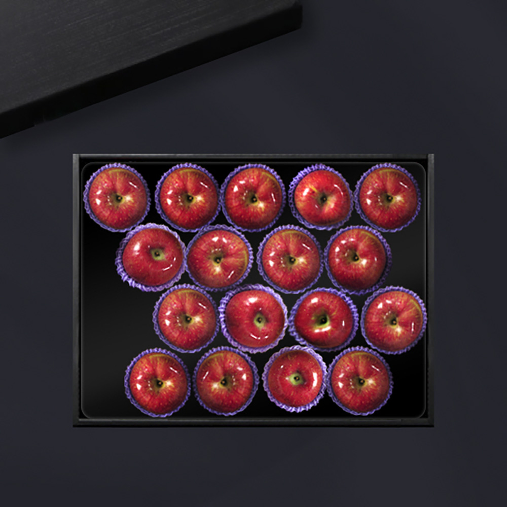 [브라이트데이] 남영양농협 프리미엄 사과 5kg 선물세트(17과) 26s_ny_11