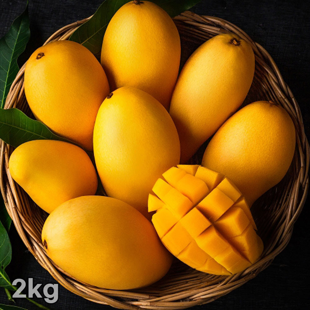 [흙이음] 태국 골드망고 2kg (6과수 내외)
