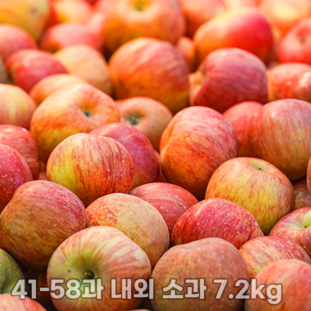 [흙이음] 청송 얼음골 부사 사과 7.2kg 내외 (41-58과 내외 소과)
