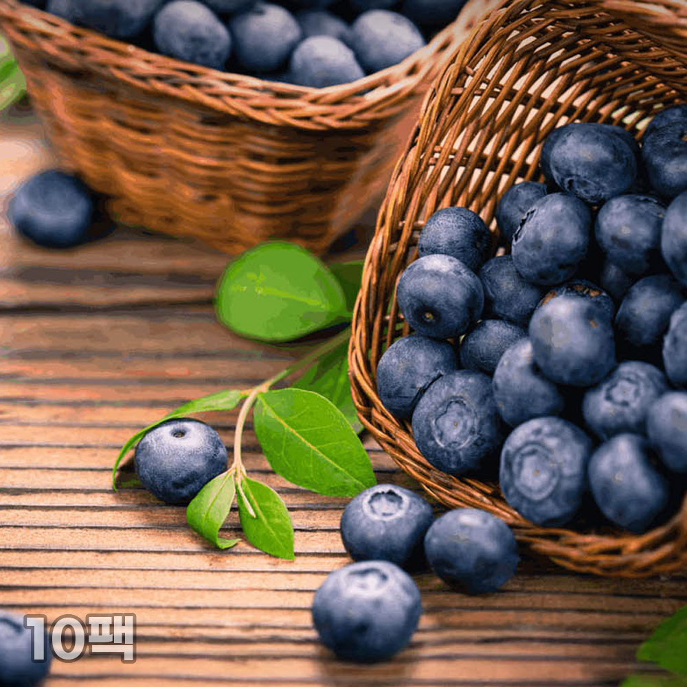 [흙이음] 칠레산 생 블루베리 18mm 10팩 (팩당 125g)