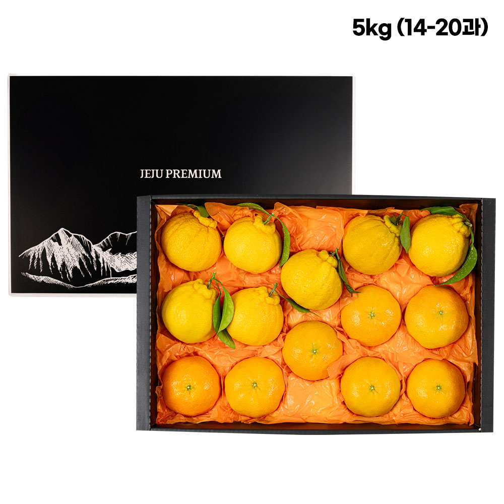 반반세트 서귀포 한라+레드 5KG (14-20과)