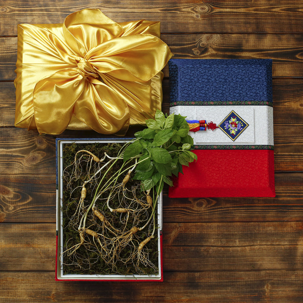 [소문난맛집 한정판][고급포장]강원도 토종 오리지널 산양삼 산양산삼 에디션 S10 명절 선물세트[5-6년근 10뿌리]